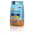 ADVANCE Dog Maxi Adult 15кг